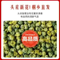 2021新花 菊花茶头采桐乡胎菊王正宗特级杭白菊清热去火贡菊花茶 头采新花(高品质) 胎菊王50克