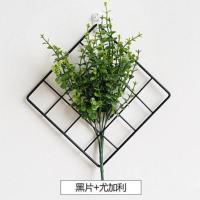 咖啡奶茶店墙壁装饰品铁艺绿色植物壁饰房间墙上客厅墙面网格挂件 黑片+尤加利