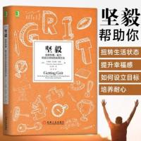 坚毅-刻意练习 如何从新手到大师 高效学习 强大学习法心理学励志 任选 岛