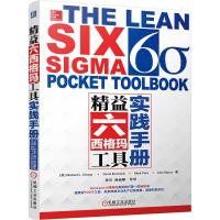 精益六西格玛工具实践手册 六西格玛企业管理书 精益六西格玛案例