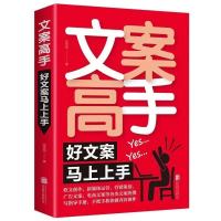 365日创意文案 文案高手 文案与营销策略 技巧重要之事励志书 文案高手