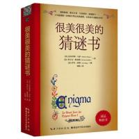 []很美很美的猜谜书很美很美的数学游戏开大脑空间图形 很美很美猜谜书