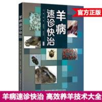 正版羊病速诊快治 高效养羊技术大全科学养羊 肉羊规模化养殖 羊病速诊快治
