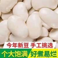 大白芸豆斤斤新货尝鲜京豆大白豆大雪豆「云南土特产」 一斤(尝鲜)