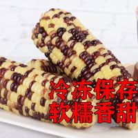 10棒黑龙江省新鲜甜糯玉米东北特产昊伟农庄香甜软糯寒地黑土真空 6棒甜糯玉米