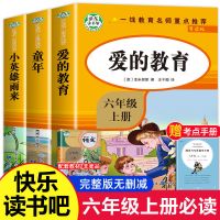 全套3册爱的教育小英雄雨来和童年书六年级上册课外书快乐读书吧 带同步音频讲解 套装3本]快乐读书吧6年级+真题考点