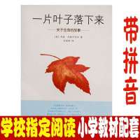 一片叶子落下来 一粒种子的旅行 落叶跳舞 儿童硬壳绘本故事书 一片叶子落下来 软皮注音