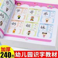 儿童学前识字大王3-6岁书籍幼儿园大班早教看图识字卡片认字书 推荐:学前识字教材