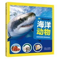 2-8岁儿童百科启蒙书 幼儿亲子阅读科普图片绘本动物恐龙昆虫海洋 海洋动物