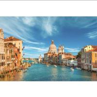 拼图1000片成人解压益智拼图块儿童玩具动漫风景宠物diy手工拼图 威尼斯水城 基础套餐[拼图+胶粉]