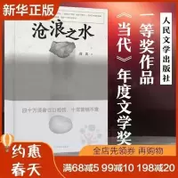 沧浪之水 阎真 活着之上官场现当代爱情小说名家长篇人情冷暖人