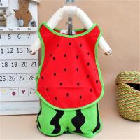 儿童套装1夏季男女宝宝琵琶衣服婴儿夏装幼儿短袖短裤童装小孩2岁 西瓜 琵琶套装 66码(0-6个月)