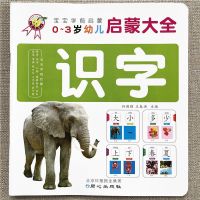 幼儿启蒙大图大字认字卡宝宝看图识字早教书籍生字组词带英文单词 0-3岁启蒙大卡 识字
