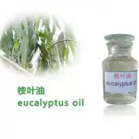 桉叶油桉树油 桉叶精油驱蚊驱虫驱赶跳蚤改善异味净化空气 100mL