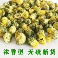 胎菊王清热去火茶特级正宗花茶野生菊花茶桐乡胎菊灌装杭白菊菊花 胎菊优惠装50g