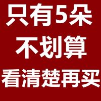 新花金丝皇菊大朵一朵一杯独立包装菊花茶清热去火大黄菊30朵茶叶 5朵独立包装