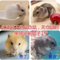 布丁仓鼠宠物宝宝金丝熊虎纹熊奶牛熊眼圈熊米熊情侣送鼠用品 仓鼠分开装(无仓鼠) 性别:公