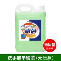 洗手液清香型杀菌消毒抑菌洗手液家用抑菌家庭装柠檬洗手液按压瓶 洗手液10斤装[无压头]