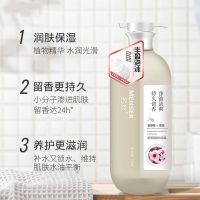 洗发水柔顺名丝洗发水套装组合洗发乳香水洗发水护发素沐浴套装香 (氨基酸+水百合)滋润洗发水