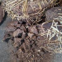 茶籽粉茶麸饼天然洗发茶麸养护发茶枯粉洗碗粉去油渍泡脚家用清洁 茶麸碎块1斤[5%含油量]