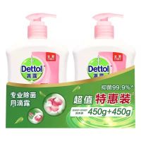 滴露抑菌洗手液儿童宝宝洗手液杀菌消毒洗手液家用洗手液450g 滴露滋润倍护450g*2