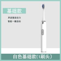 电动牙刷超声波成人全自动软毛家用男女情侣充电防水美白儿童牙刷 白色电池基础款(送电池)