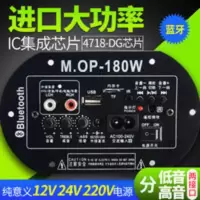 大功率内置蓝牙低音炮功放板音响音箱主板220V12V24V家庭车载家用 大功率蓝牙低音炮功放
