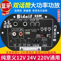 双话筒大功率蓝牙功放板12V24V220V低音炮功放板音箱主板车载家用