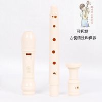 YAMAHA雅马哈竖笛8孔德式YRS-23/英式24B高音C调竖笛学生成人初学 德式