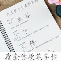 瘦金体钢笔练字帖笔划常用字硬笔古风书法漂亮大学生成年字体初学 瘦金体钢笔练字帖笔划常用字硬笔古风书法漂亮大学生成年字体初