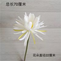 仿真花昙花假花古风汉服拍摄道具手持花莲花中式婚庆礼堂装饰绢花 1支白色昙花(买2支送1同款) 70厘米长
