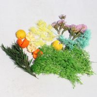 干花diy团扇材料包混搭玫瑰永生花亲子活动作业影楼古风拍摄道具 初夏材料包