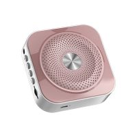 夏新K200小蜜蜂扩音器教师用上课小型麦克风无线教学导游宣传专用 玫瑰金(极货) 经济版[自备耳麦]