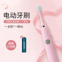 [厂家直销]电动牙刷电池款防水声波超美白自动牙刷成人儿童软毛 粉(电池款) [软毛]1刷头