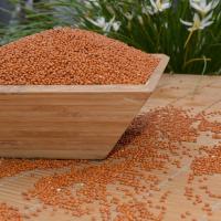 精选无尘婴幼儿枕头枕芯蒙稷枕芯料黍子枕头填充物填充物蒙稷枕头 特级3斤装22.9元