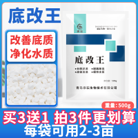 底改王水产养殖改底片鱼虾蟹池塘分解黑泥克星除臭净水过硫酸氢钾 底改王500g*1袋(买3送1)