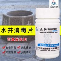 水塔水箱清洗消毒片去青苔饮用水野外井水消毒除味灭菌灭藻剂