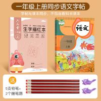 一年级上册 语文[新升级]送标准书写礼包 一年级二三年级上下册语文练字帖小学专用1-3英语同步人教版全套