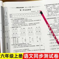 六年级上册 试卷配套同步字帖 2021六年级上册单元测试卷全套语数英必刷题同步期中末考试人教版