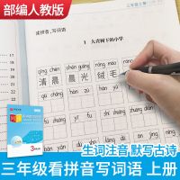 三年级上册 小学生看拼音写词语三年级上下册同步课本教材语文默写本华夏万卷