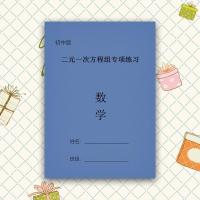 初中二元一次方程组专项训练 中考初中数学真题分项练习本笔记本