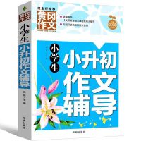 小升初作文 2021小升初试卷真题卷模拟测试卷语文数学英语必刷题人教版六年级