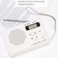 白色 百利251单收音机 大学英语四级四六级听力收音机FM调频4级46级考试校园广播接收机