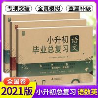 小升初总复习 语文 小升初试卷毕业总复习语文数学英语试卷名校冲刺模拟六年级总复习