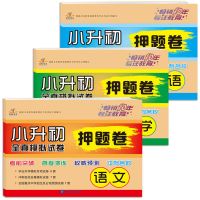 小升初 毕业总复习 英语 小升初复习资料语文数学英语通用版小升初模拟试卷毕业总复习