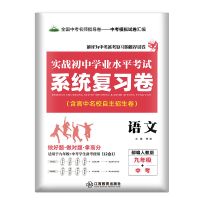 语文 系统复习卷衡水重点中学九年级真题模拟测试冲刺中考试题精选试卷
