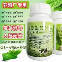 任能家禽养殖消毒片鸡鸭鹅去氨气异味养殖场消毒液二氧化氯泡腾片