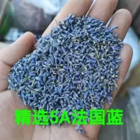 薰衣草100克[精选5A法国兰] 薰衣草干花粒500g100g香包枕头香薰助新疆眠薰衣草驱蚊天然香料