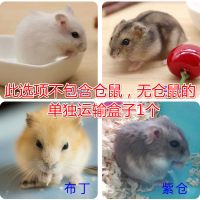 仓鼠分开装(无仓鼠) 性别:公 布丁仓鼠宠物宝宝金丝熊虎纹熊奶牛熊眼圈熊米熊情侣送鼠用品