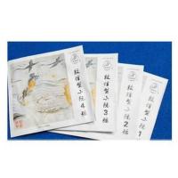 1弦 上海敦煌小阮琴弦其它乐器配件钢丝套弦1234弦可单卖